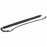 Lift Support For Tailgate - BMW by Febi 51247232004-FEB