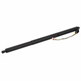 Lift Support - Mercedes by Febi 1178900130-FEB