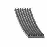 Auxiliary Belt - Fiat by Febi 6000616599-FEB