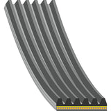 Auxiliary Belt - Jaguar by Febi J9C14020-FEB