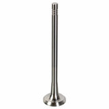 Exhaust Valve - Fiat by Febi 132024894R-FEB
