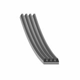 Auxiliary Belt - VW/Audi by Febi 06M260849L-FEB