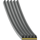Auxiliary Belt - Alfa Romeo by Febi 55247438-FEB