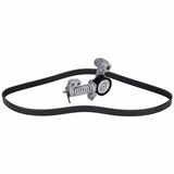 Auxiliary Belt Kit - Volvo by Febi 31430186-FEB