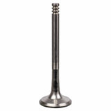 Exhaust Valve - VW/Audi by Febi 028109611E-FEB