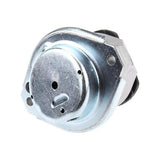 Engine Mount - BMW