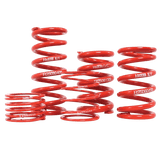 H&R 2.50in I.D. Race Spring 6 Free Length/1100 Rate/2.95in/3352lbs by H&R Race Springs HRSR25061100