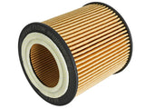 aFe Pro GUARD D2 Oil Filter 06-19 BMW Gas Cars L6-3.0T N54/55 - 4 Pack by AFE 44-LF029-MB