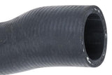 Radiator Hose - Volvo by URO Parts 273191-URP