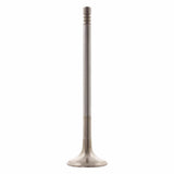 Exhaust Valve - GM by Febi 09158474-FEB