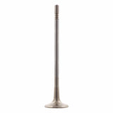 Exhaust Valve - Alfa Romeo by Febi 71744388-FEB