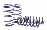 H&R Sport Springs | BMW F25/G01 X3 | F26 X4 by H&R Springs HRS28926-1