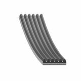 Auxiliary Belt - VW/Audi by Febi 03L903137AC-FEB