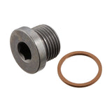 Oil Drain Plug 18x15 with 8mm Allen BMW N62 N63 N73 | 07119905428