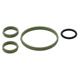 Oil Cooler Gasket