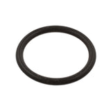 Sealing Ring For Fuel Filter - VW/Audi by Febi 1H0127401B-FEB
