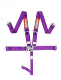 RaceQuip Purple L & L 5pt Seat Belt by RaceQuip RQP711051