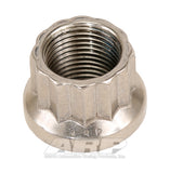 ARP M12 x 1.00 (M14 WR) SS 12pt Nut Kit (1 pack)