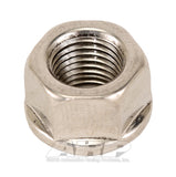 ARP 3/8-24 SS Hex Nut Kit