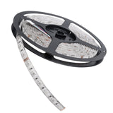 ORACLE Lighting Exterior Flex LED Spool - UV/Purple by Oracle Lighting orl4222-007