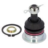 Ball Joint with Castle Nut - Lexus by Febi 4331060010-FEB
