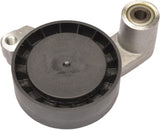 Accu-Drive Pulley - BMW | 11281720039