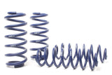 H&R 09-17 Audi Q5 Premium/Q5 Premium Plus/Q5 Prestige (AWD) 8R Adventure Raising Spring by H&R Springs HRS50383