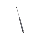 Trunk Strut - BMW