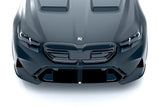 Alpha-N G90 / G99 M5 Carbon Front Corner Splitter Set - 2-Piece by Alpha-N AN-0902