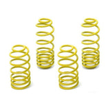 Neuspeed Race Springs Kit - Audi TT Mk1 1.8T (FWD)