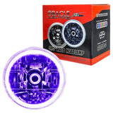 ORACLE Lighting Pre-Installed Lights 5.75 IN. Sealed Beam - UV/Purple Halo by Oracle Lighting orl6904-007