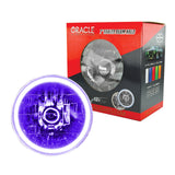 ORACLE Lighting Pre-Installed Lights 7 IN. Sealed Beam - UV/Purple Halo by Oracle Lighting orl6905-007