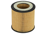 aFe Pro GUARD D2 Oil Filter 06-19 BMW Gas Cars L6-3.0T N54/55 - 4 Pack by AFE 44-LF029-MB