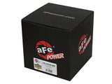 aFe Pro GUARD D2 Oil Filter 06-19 BMW Gas Cars L6-3.0T N54/55 - 4 Pack by AFE 44-LF029-MB