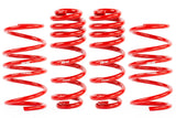 APR Roll-Control Lowering Springs - VW / MK8 GTI by APR SUS00016
