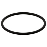 Fuel Pump O-Ring - Porsche / Cayenne / Panamera