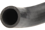 Radiator Hose - Porsche by URO Parts 95110623704-URP