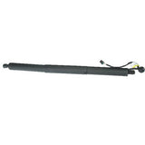 Tailgate Lift Support - Porsche