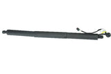 Tailgate Lift Support - Porsche by URO Parts 95B827851E-URP