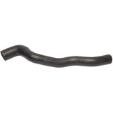 Coolant Hose