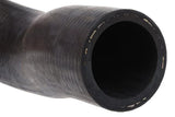Expansion Tank Hose - Jaguar by URO Parts C24579-URP