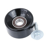 Acc. Belt Idler Pulley - Jaguar