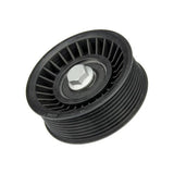 Acc. Belt Idler Pulley - Jaguar