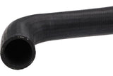 Radiator Hose - Jaguar by URO Parts C2N1173-URP