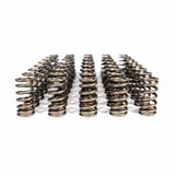 CarBahn Valve Spring Kit S85 - BMW / E60 / M5 / M6 by CarBahn CBS85-6000