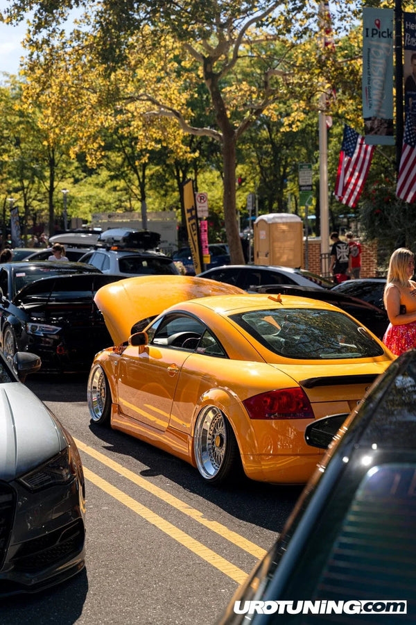 CJB09366.webp