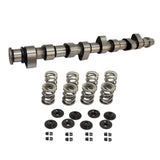 SPA Performance Hydraulic Tappets Performance Camshaft (288 N/A Application) w/ Dual Spring Set - VW / 8v by SPA Performance CMBUSACMD001