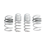 CTS Turbo B9/9.5 Audi SQ5 Lowering Springs by CTS Turbo LS-027
