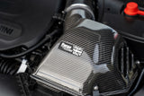 Forge Motorsport - Carbon Fiber Induction Kit for BMW Mini F66