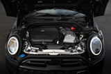 Forge Motorsport - Carbon Fiber Induction Kit for BMW Mini F66